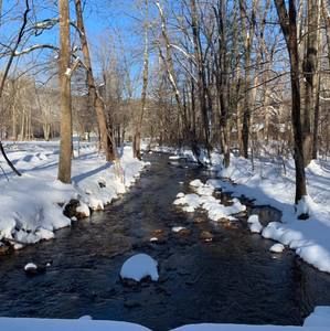 Meet your Posher, Ashly